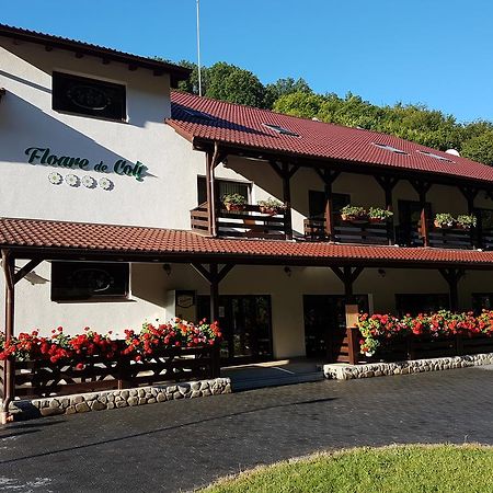 Pensiunea Floare De Colt Poiana Galdei Exterior foto